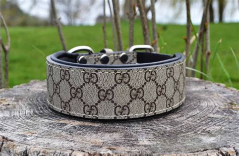 gucci hondenkleding|Gucci pet collars.